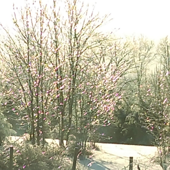 Meet your Posher, Lora - Picture 7 of 8